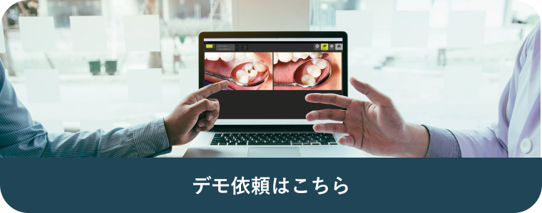 デモ依頼